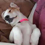 Profile Picture of Paul Brabham (@brabham.paul) on Instagram