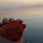 Cody Schuhart - Instagram Profile Picture of Cody Schuhart (@codyschuhart) on Instagram