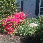 Profile Picture of Sue Foley (@skfoley3) on Instagram