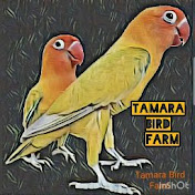 Profile Picture of Tamara Bird Farm (@tamarabirdfarm7722) on Youtube