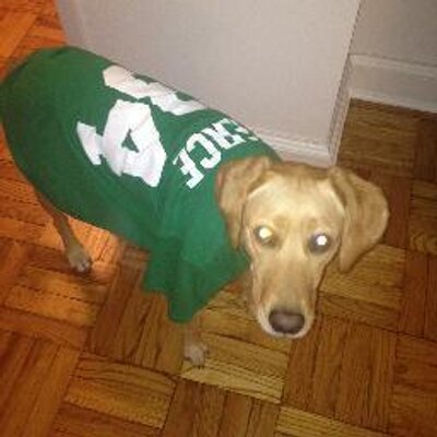 Profile Picture of Meredith_T (@IvyDog262) on Twitter