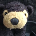 Profile Picture of Andrew Thorn (@thorn003) on Instagram