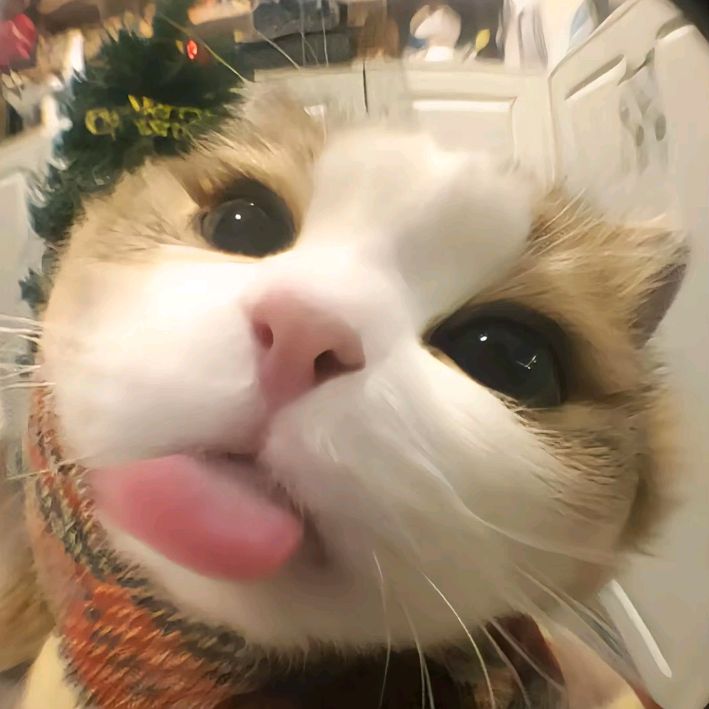 Profile Picture of ian (@_iantott) on Tiktok