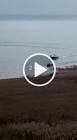 Profile Picture of   user9607031005553... (@skula01) on Tiktok