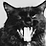 Profile Picture of Alex Villegas (@alex villegas) on Flickr