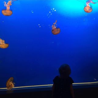 Profile Picture of Jamie Herbert Dominic Cummins (@jamie.h.cummins.3) on Facebook