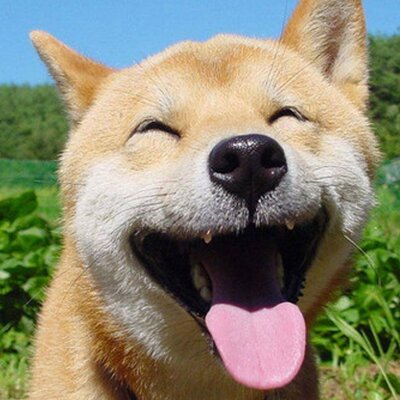 Profile Picture of Piper Andrews (@OtterGlitter) on Twitter