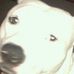 Profile Picture of Basil Mckenzie (@basil.mckenzie.39) on Facebook