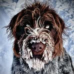 Profile Picture of Dennis Sperry (@dennis.sperry.1) on Facebook