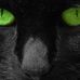 Profile Picture of Cory Grammer (@cory.grammer.7) on Facebook