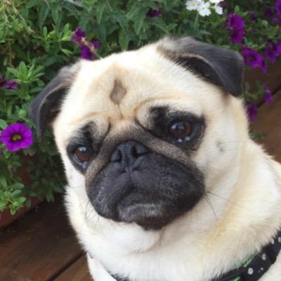 Profile Picture of Shannon Brett (@ShannonBrett4) on Twitter