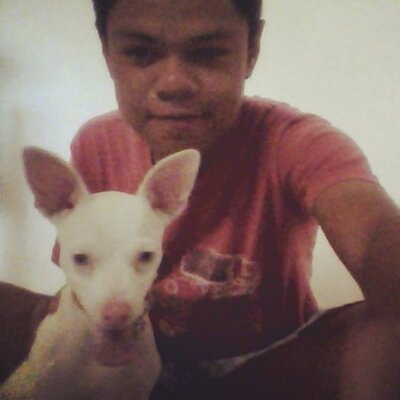 Profile Picture of Mario Govea (@MarioGovea06) on Twitter