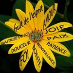Profile Picture of Pierre (@josephplaton7) on Instagram