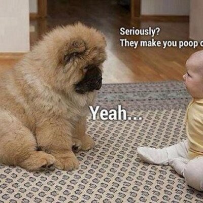 Profile Picture of Mario Cosio (@MarioCosio6191) on Twitter