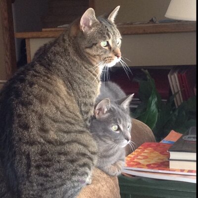 Profile Picture of Jean Ayers (@AyersJean) on Twitter