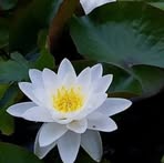 Profile Picture of Khin Ka Myam (@khin.ka.myam) on Facebook