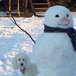 Profile Picture of Crystal Donohue (@crystaldonohue) on Instagram