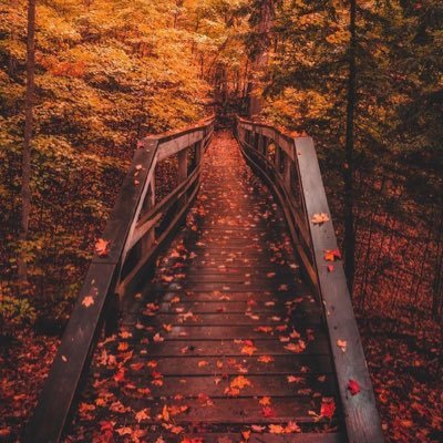 Profile Picture of Javier Aldama (@JavierAldama8) on Twitter