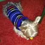 Profile Picture of Moly Martin Calzada (@martincalzada) on Instagram