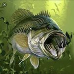 Profile Picture of Brandon Erb (@castaway_fishing66) on Instagram