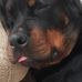 Profile Picture of Lynn Morey (@lynn.morey.710) on Facebook