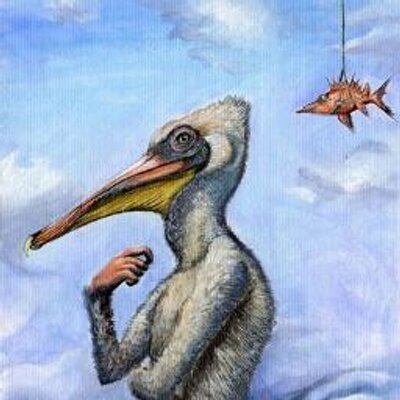 Profile Picture of Alejandro Diéguez (@PelikanOne) on Twitter