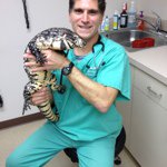 Profile Picture of Robert Monaco DVM, DABVP (@oldcountryanimalclinic) on Instagram