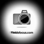 Profile Picture of James Fields (@fieldsfocus22) on Instagram
