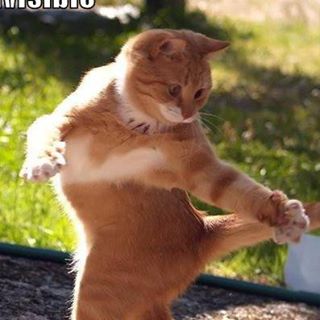 June Martel - Facebook Profile Picture of June Martel (@june.martel.3) on Facebook