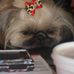Profile Picture of Zoey Creyts (@zoey.creyts) on Facebook