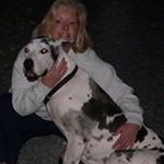 Profile Picture of Pam Blevins (@p_j_blevins) on Instagram