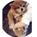 Profile Picture of Fashion Designer.💛💜💍💜💚 (@fiona_ip) on Instagram