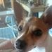 Profile Picture of Marty Thomas (@marty.thomas.7927) on Facebook