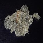 Profile Picture of dandruff pictures (@dandruffpictures) on Instagram