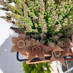 Rita Mannello - Facebook Profile Picture of Rita Mannello (@Rita-Mannello) on Facebook