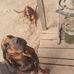 Profile Picture of Terry Verner (@terry.verner.1) on Facebook