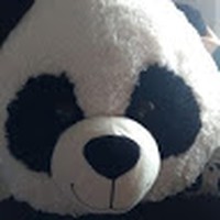 Joshua Hennessy-shilling - Quora Profile Picture of Joshua Hennessy-shilling (@joshua-hennessy-shilling) on Quora