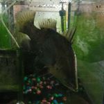 Profile Picture of barry barra (@barra_barry) on Instagram