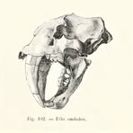 Profile Picture of Fred Keller (@Fred-Keller) on Facebook