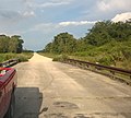 Profile Picture of Picayune Strand State Forest - Wikipediaon Wikipedia