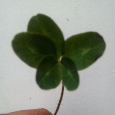 Profile Picture of Moises Sandoval (@MoisesS06001270) on Twitter