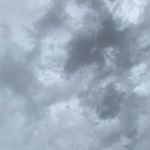 Profile Picture of Avery Wade (@wade_avery) on Instagram