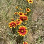 Profile Picture of Bonnie Gabel (@bonitagabel) on Instagram