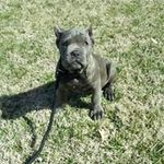 Profile Picture of Kevin Winkelmann (@winkelmann.kevin) on Instagram