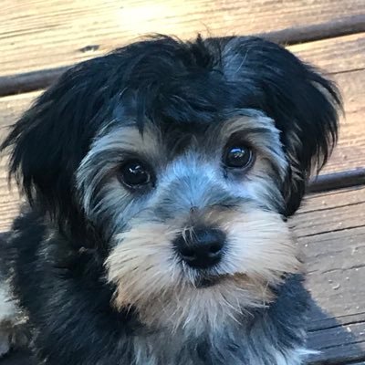 Profile Picture of KEITH WICKER (@USCEAGLE) on Twitter