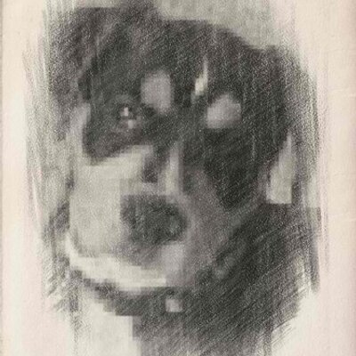 Profile Picture of Kim Hagan (@YourGranny10) on Twitter
