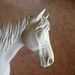 Profile Picture of Erika Baird Xochimitl (@starhorse2020) on Pinterest