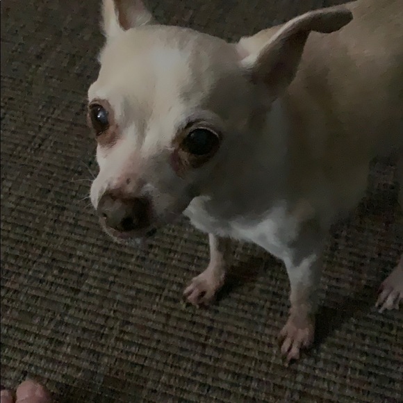 Profile Picture of Mike Ferguson (@arcticman63) on Poshmark