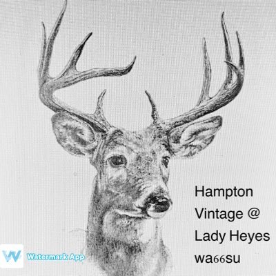 Profile Picture of Hamptonvintage.co.uk (@campbell6968) on Twitter