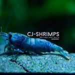 Christian Jansenberger - Instagram Profile Picture of Christian Jansenberger (@cj_shrimps) on Instagram